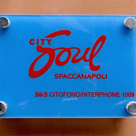 Spaccanapoli B&B City Soul-2